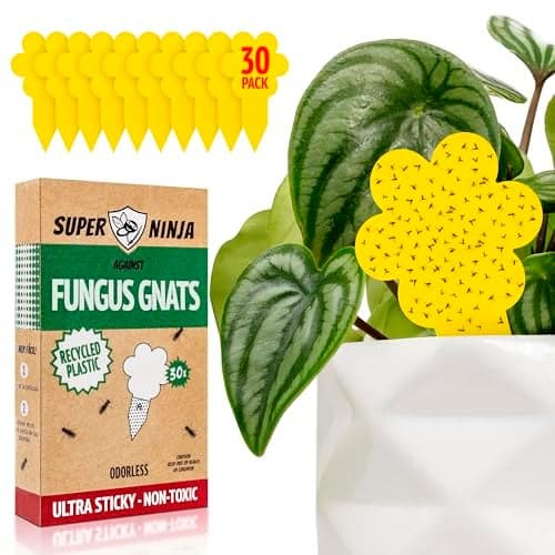 Super Ninja Fungus Gnat Traps - 30 Pack, Highly Effective Gnat Traps for House Indoor, Yellow Sticky Trap for Plants, Non-Toxic & Nature-Friendly, Up to 3 Months