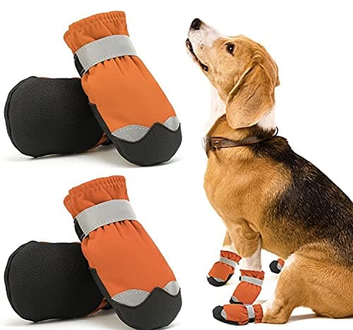 KUTKUT Waterproof Dog Boots for Small Dogs | Anti Skid Paw Protector For Hot Summer For Maltese, Yorkie, Shih Tzu etc. | Pet Shoes with Reflective Straps & Non-Slip Sole | Soft & Lightweight Dog Shoes (SIZE: 3)