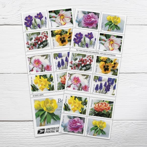 Snowy Beauty Booklet of 20 Forever Postage Stamps SelfAdhesive Garden Wedding Love Celebration Holiday Winter Flower 2022 Scott 57275736