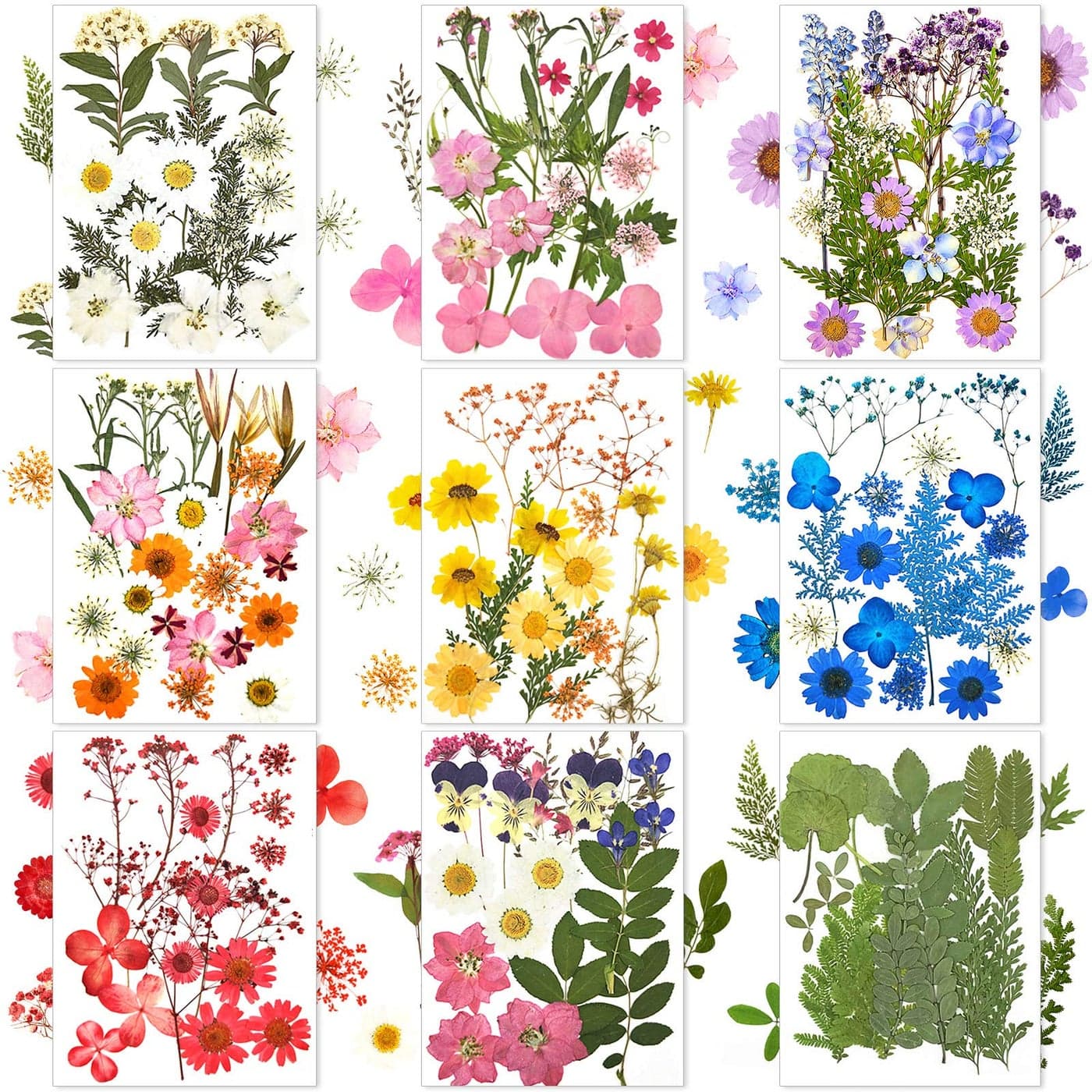 Nuanchu 167 Pcs Real Dried Pressed Flowers Natural Dried Flowers Colorful Daisy Mixed Wildflowers Leave for DIY Candle Resin Nails Jewelry Pendant Crafts Floral ArtFresh Color
