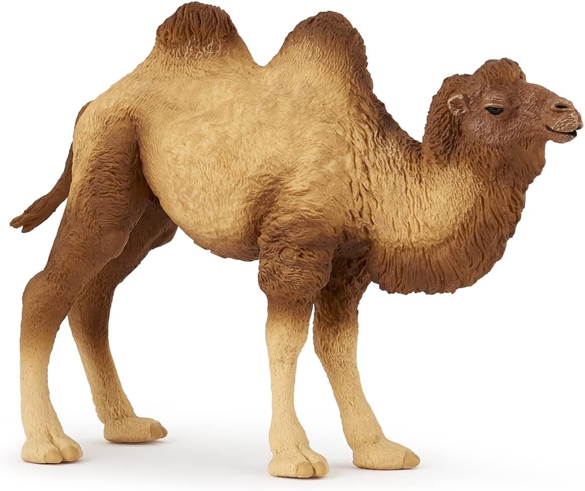 Papo BACTRIAN CAMEL Hand painted realistic figurine 3 years old Educational toy of wild animals Wild Life two humps faithful details 118 cm Gift idea desert animal figurine