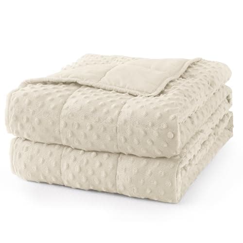 Mr. Sandman Weighted Blanket for Adults Queen Size 15 lbs, Soft Cooling Heavy Minky Blanket for Sleep, Washable Throw Blanket with Glass Beads, 60 x 80 Inches, Ivory
