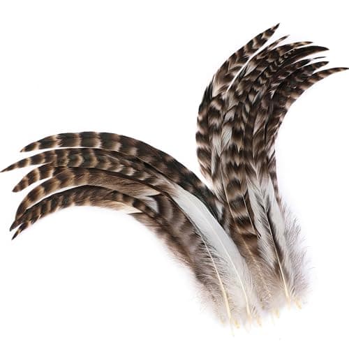 Holmgren Natural Chinchilla Feathers Bulk 60pcs 1214inch Natural Long Rooster Chinchilla Tail Feathers Bulk for DIY Crafts Hats Costume Holiday Themed Party Decoration Chinchilla