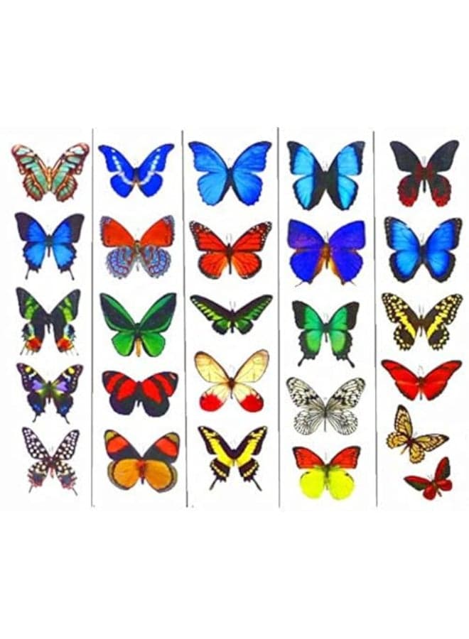 Colorful Temporary Butterfly Tattoos 5 Sheets by Butterfly Utopia
