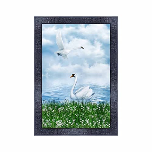 pnf Poster And Frames Swan Wall Painting With Acrylic Sheet | For Living Room, Bedroom | Home Decoration Item | Best Gifting Option (10 * 14inch,Multicolour,Synthetic) 25327