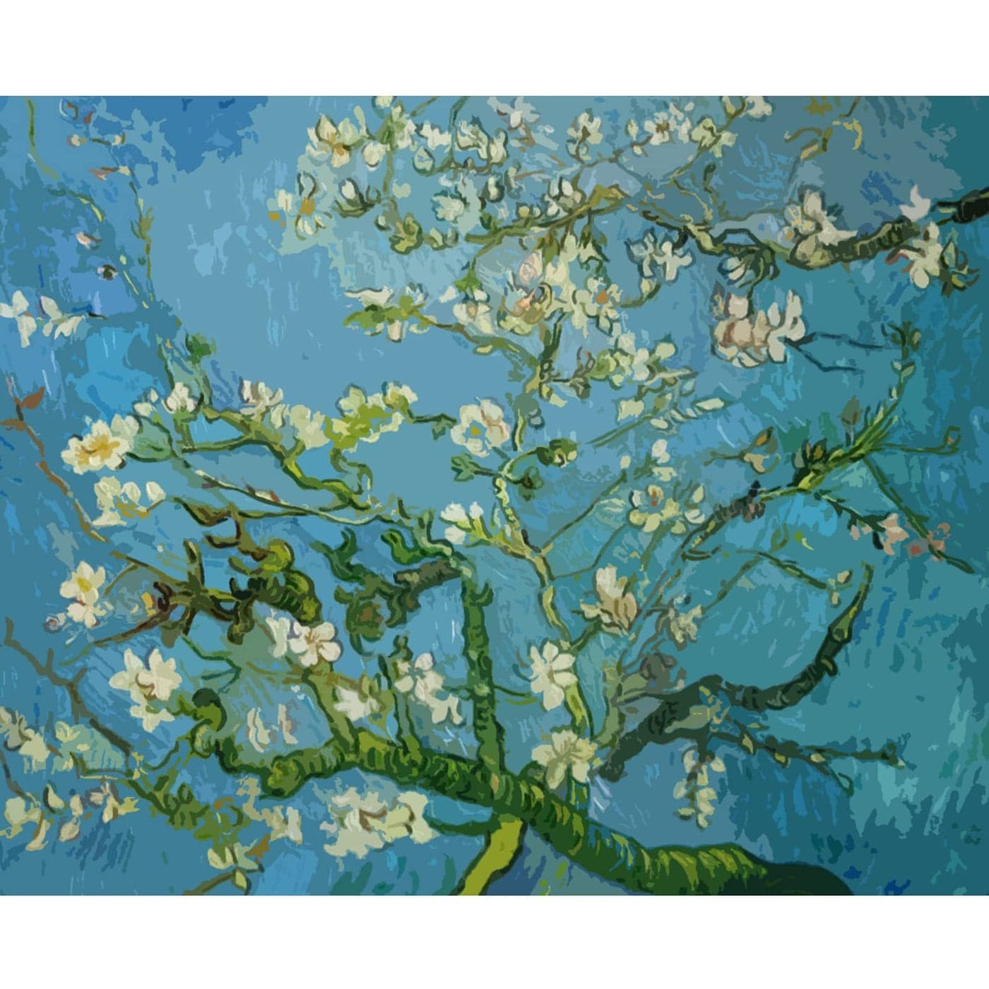 Vincent Van Gogh Masterpiece Series Paint by Numbers for Adults by Tococoo DIY Adult Paint by Number Kits for Beginners on Canvas Rolled 16 by 20 Unframed Bloom Apricot Flowers