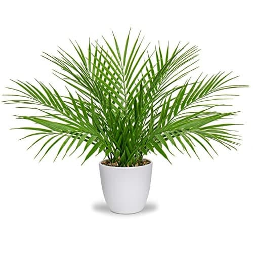 Briful Fake Plant 15 Artificial Palm Plant in White Pot Real Touch Faux Tropical Palm Tree Houseplant for Home Indoor Living Room Tabletop Balcony Decorations