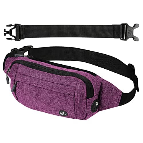 WATERFLY Fanny Pack Waist Bag: Small Hip Pouch Bum Bag Fannie Pack Phanny Fannypack Waistpack Bumbag Beltbag Sport Slim Fashionable for Jogging Hiking Hiker Woman Man