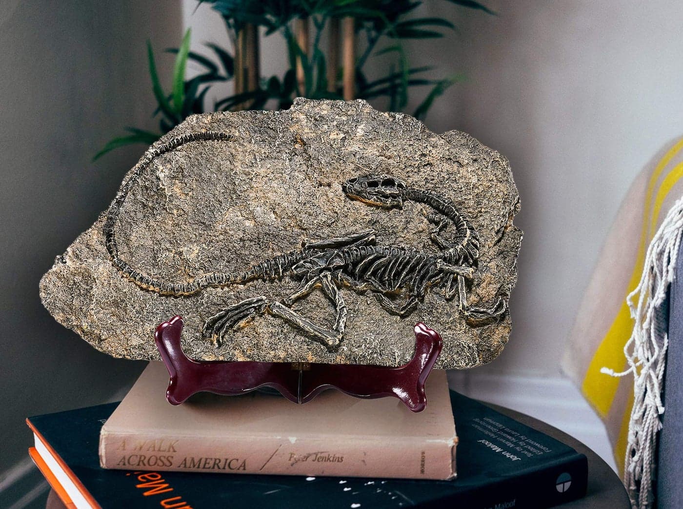 LAGOM HOUSE Resin Fossils Dinosaur Model Dinosaur Fossil Replica Decoration Velociraptor ModelSkeleton Raptor in Home Office School 114X 7in Style