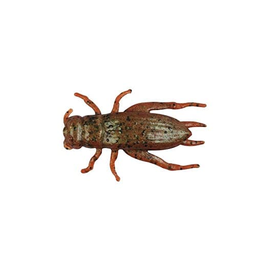 Berkley Gulp! Cricket Breen, 1-Inch