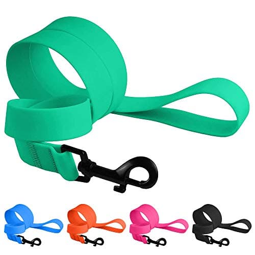 CollarDirect Waterproof Dog Leash Small Medium Large Durable Pet Leashes for Walking Training Running Pink Black Blue Orange Green (S, Mint Green)