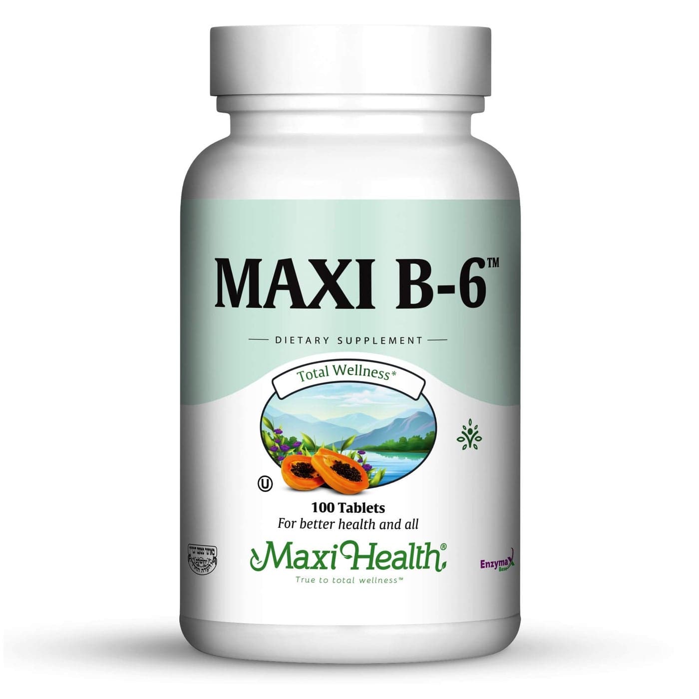 Maxi Health B6 Vitamin B6100 mg Cardiovascular Health 100 Tablets Kosher 100 Count Pack of 2