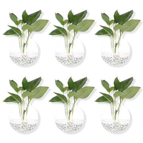 Hanging Wall Planters Pack of 6 Glass Planter Pots Round Glass Flower Vases Hanging Propagation Station Glass Plant Hanger Terrariums Wall Hanging Plant Container