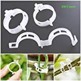 AKOAK 100 Pcs Plant Support Clips for Garden Tomato Garden Vegetables Vine to Grow Upright and Makes Plants Twine Clips Vine, Beans, Vegetables, Fruits, Rose.