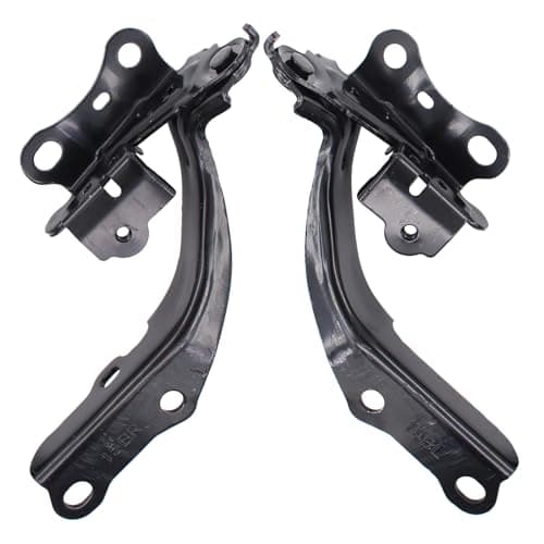 ApplianPar Driver and Passenger Side Hood Hinges for Toyota Camry 2018 2019 2020 2021 2022 2023 2024