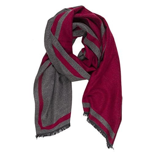 Scarf for Men Fall Winter Cashmere Touch Man Soft Elegant Classic Scarves (TA01-13)