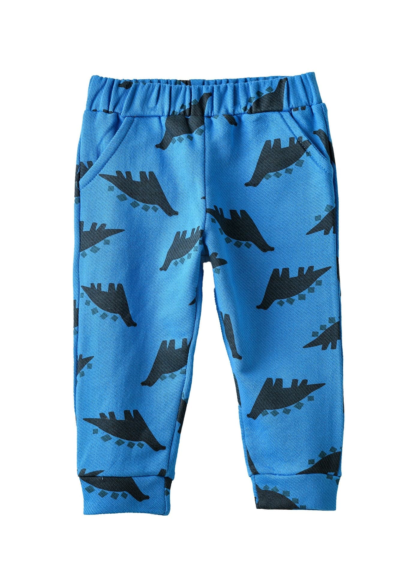 Boys Dinosaur Print Jogger Pants