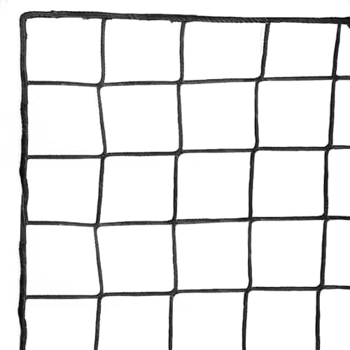Wiseek Soccer Backstop, 15x20ft High Impact Barrier Net, Nylon Sport Netting
