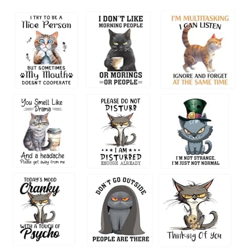 9Pcs Funny Cat Iron On Transfer Patches DIY Iron On Decals Heat Transfer Vinyl Stickers for Clothes T Shirts Bag Pillow Covers Appliques