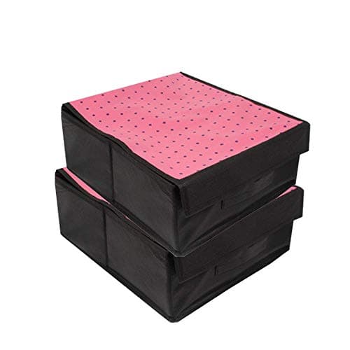 PrettyKrafts Lingerie Organizer | Bra Organiser | Undergarments Storage Box (Set of 2) - Pink