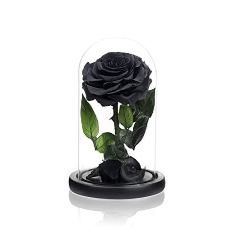 NATROSES Handmade Preserved Roses in Glass Dome, Black Roses Roses, Preserved Flowers Gifts for Women, Mothers Day Flowers