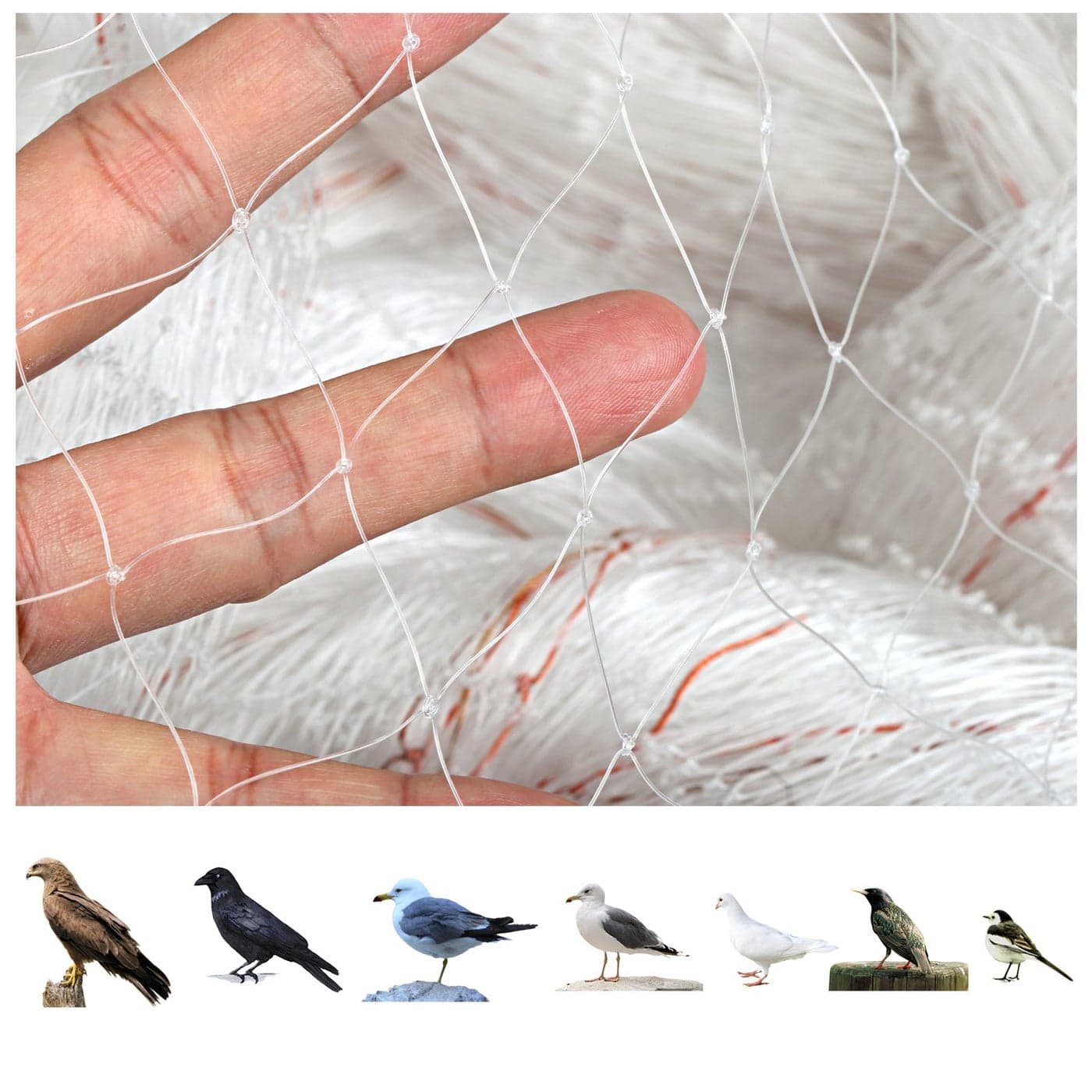 GWHOLE 33 x13 Ft Garden Netting for Tree and Plant ProtectionTranslucent