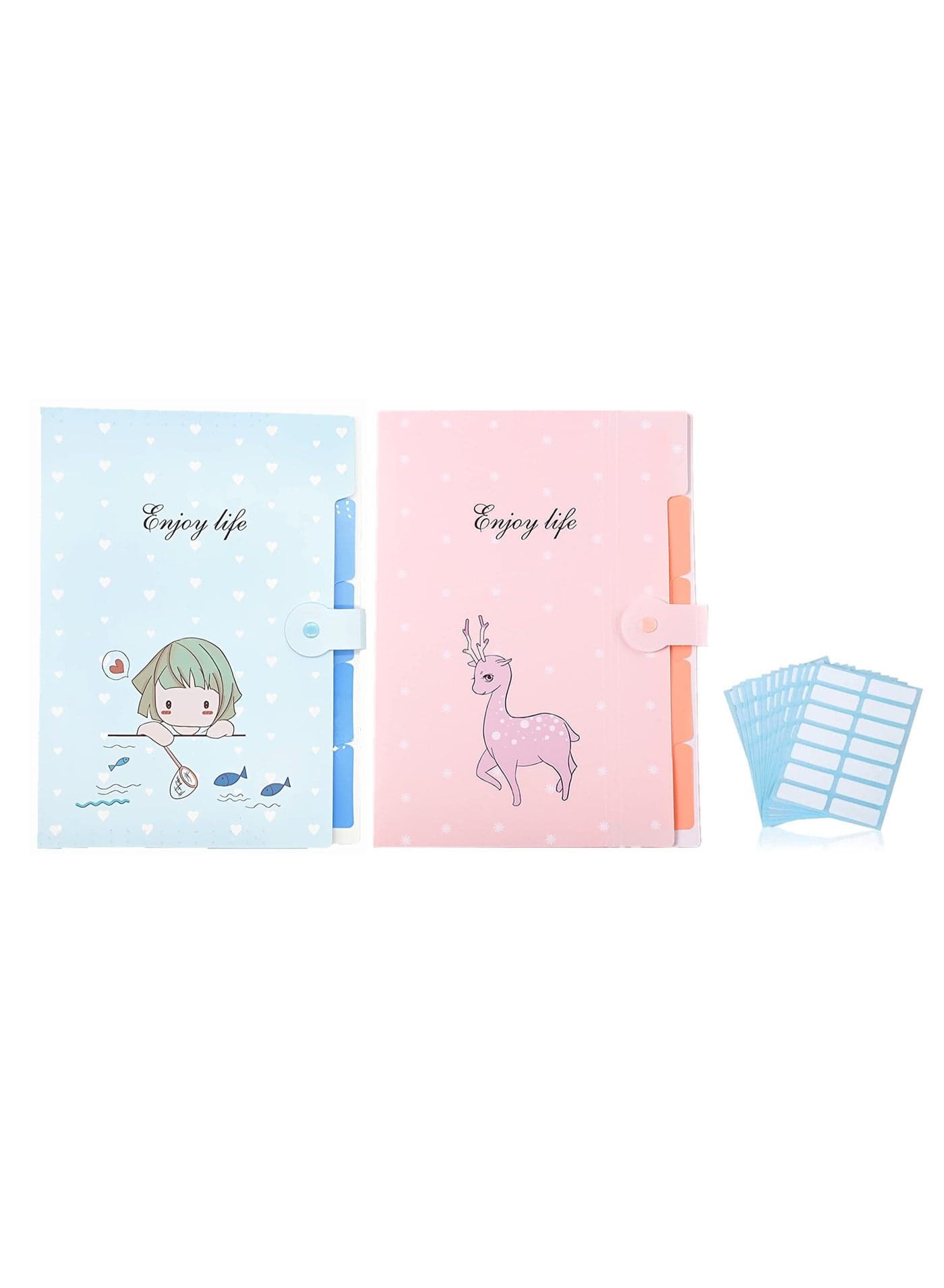 Folders, A4 Size 5 Pockets Cute Cartoon Pattern Plastic Expanding File Folders with 12sheets/168pcs Self-Adhesive Labels (2 Packs Blue+Pink)