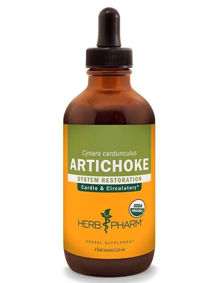 Certified Organic Artichoke Liquid Extract for Cardiovascular and Circulatory Support - 4 Ounce