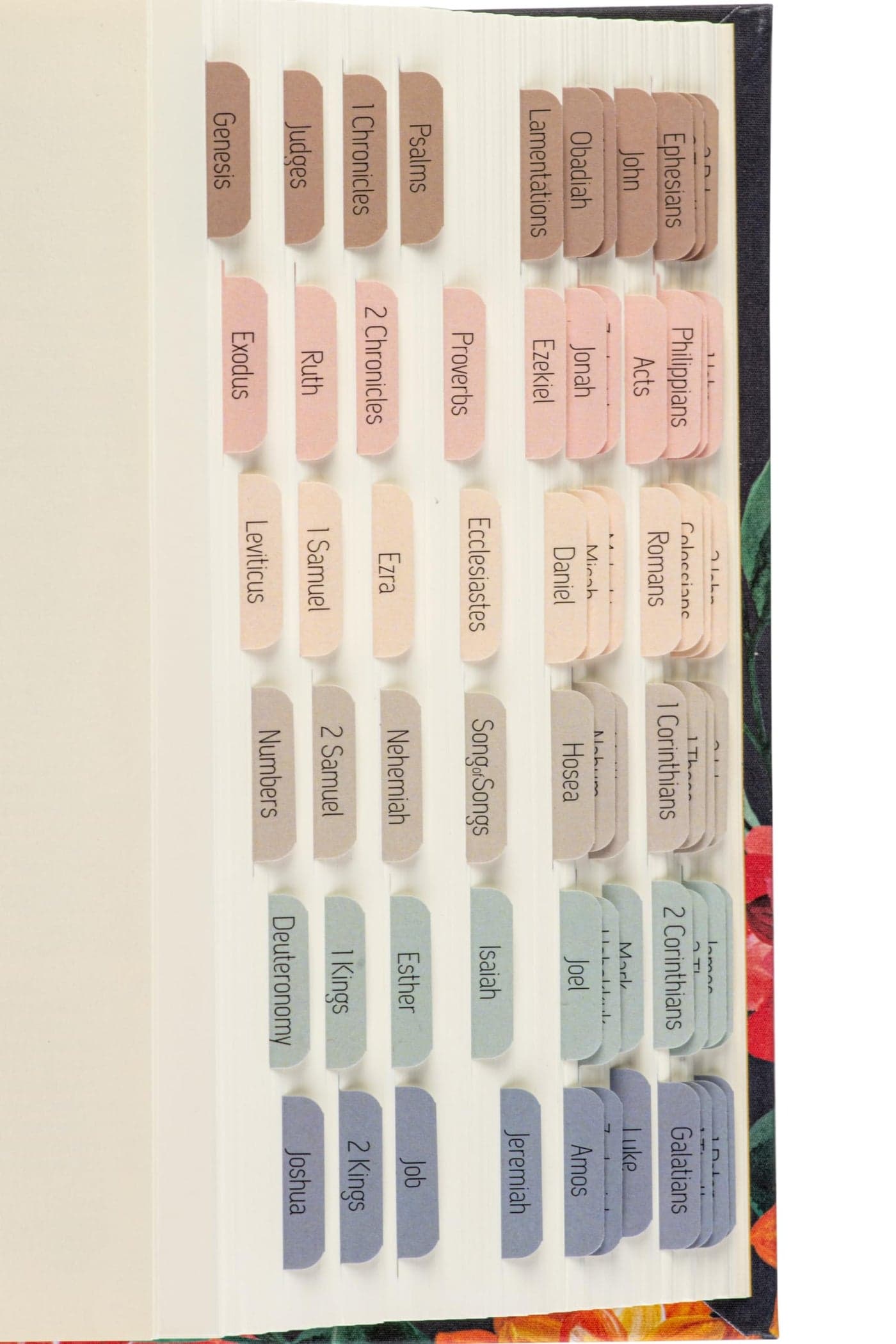 DiverseBee Laminated Bible Tabs (Petite Size, Easy to Read), Bible Study Journaling Supplies, Bible Book Tabs, 73 Bible Tabs Old and New Testament, Includes 2 Blank Tabs (Macarons)