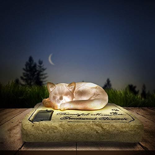 Carchistan Solar Light Cat Memorial Garden Stones with A Sleeping Kitty Statue Auto Glow at Night Resin Grave Markers Headstones for Cat Sympathy Memorial Gifts Loss Gifts Outdoors 8x65x3
