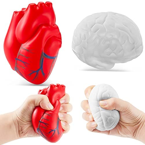 Hungdao Anatomy Stress Set 2 Pieces Heart with Brain PU Foam Stress Ball Fake Healthcare Anatomy Ball for ReliefGrayish White and Red