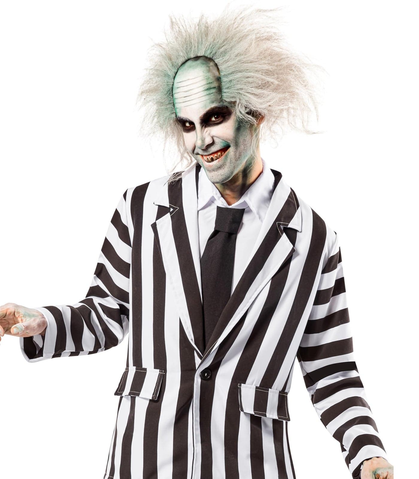 Beetlejuice: Beetlejuice Wig for Adults by Rubies, Men's No Size