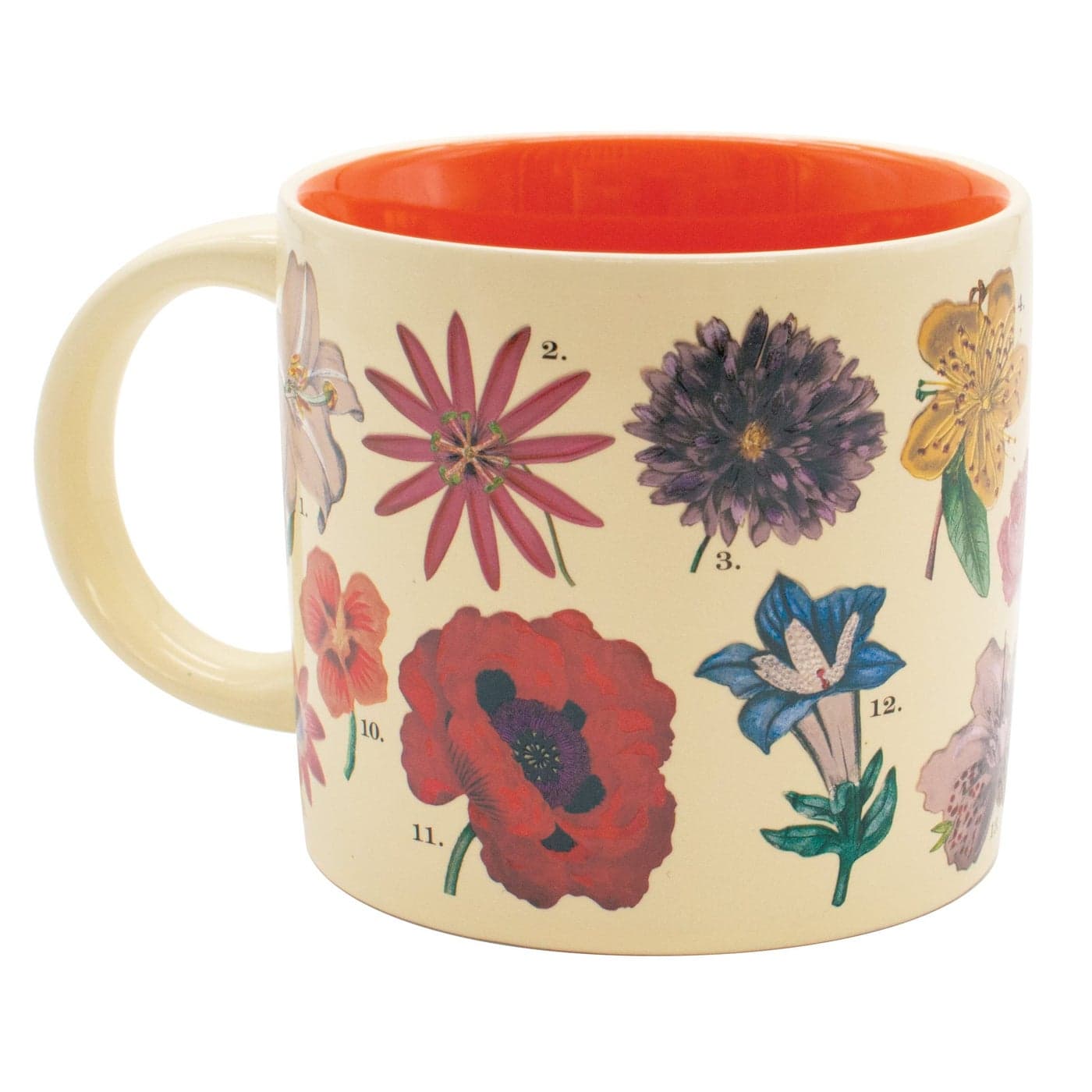 The Unemployed Philosophers Guild Color Changing Heat Transforming Flowers Mug Add Coffee to Reveal 18 Floral Species Comes in a Fun Box 14 oz