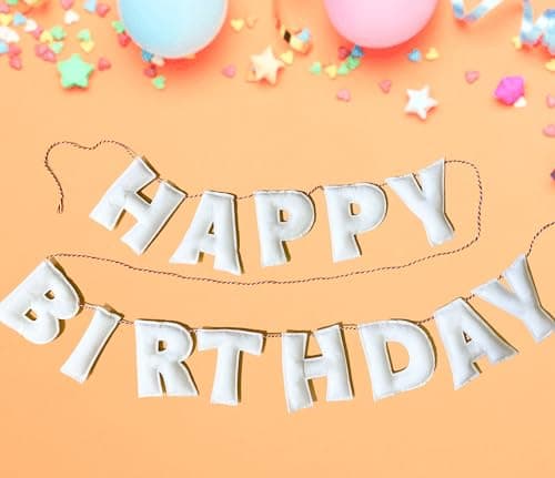 PreStrung Happy Birthday Banner Felt Ball Garland White Theme Party Decorations HAPPY BIRTHDAY Garland Personalized Birthday Sign for Birthday Decor Party Decor Photo Prop White Happy Birthday Banner