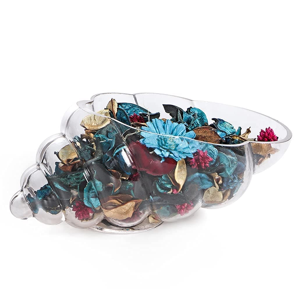 MDLUU Glass Shell Vase 10Inch Seashell Potpourri Holder Decorative Conch Bowl for Shell Collection Display Sea Glass Air Plant