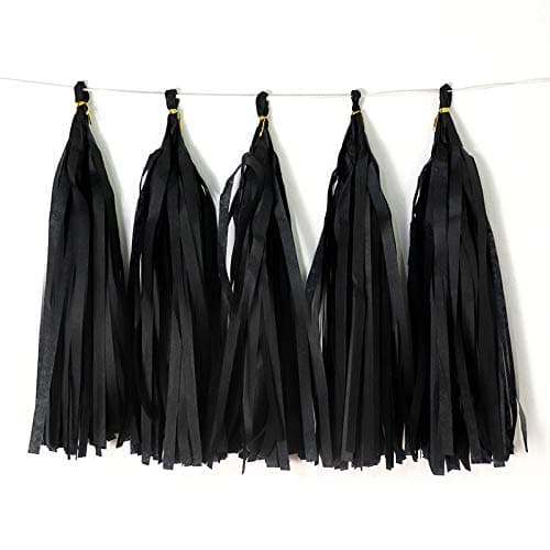 Binpeng 9.8in Tissue Paper Tassel DIY Hanging Paper Decorations Party Garland for Party, Wedding, Festival, Baby Shower - 20PCS (Black 25cm)