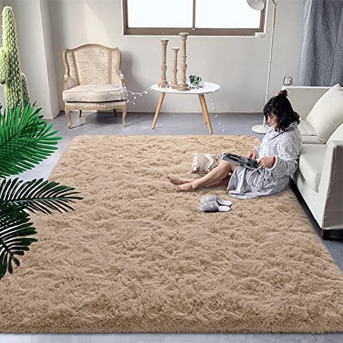 DweIke Fluffy Small Area Rug for Bedroom Living Room, 3x5 Feet Soft Plush Shaggy Beige Rugs for Girls Boys Kids, Non-Slip and Machine Washable Carpet for Nursery Dorm Home Decor
