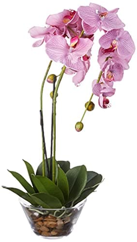 Nearly Natural Phalaenopsis with Glass Vase Silk Flower Arrangement