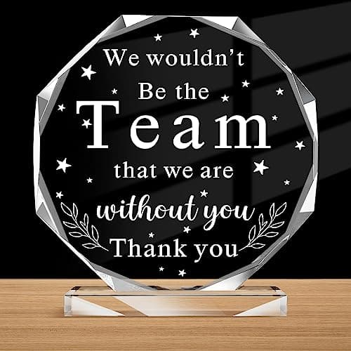 Christmas Boss Gifts for Women Female Men, Employee Appreciation Acrylic Plaque, Desk Office Decor Christmas Gift for Male Sign Coworkers Lady Staff Leader Manager Birthday Desk Accessories(Team)
