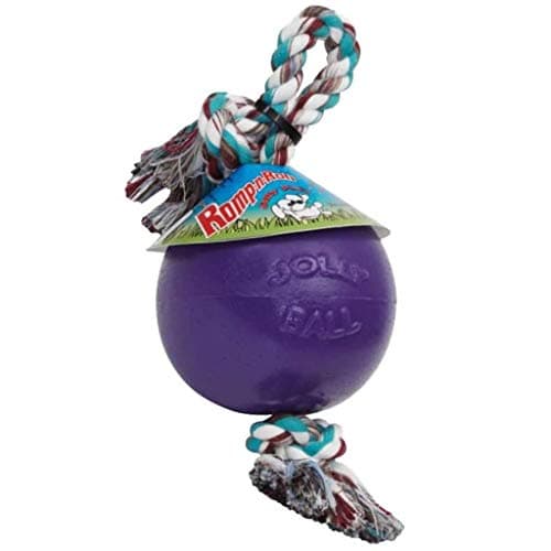 Jolly Pets RompnRoll Rope and Ball Dog Toy 6 InchesMedium Purple