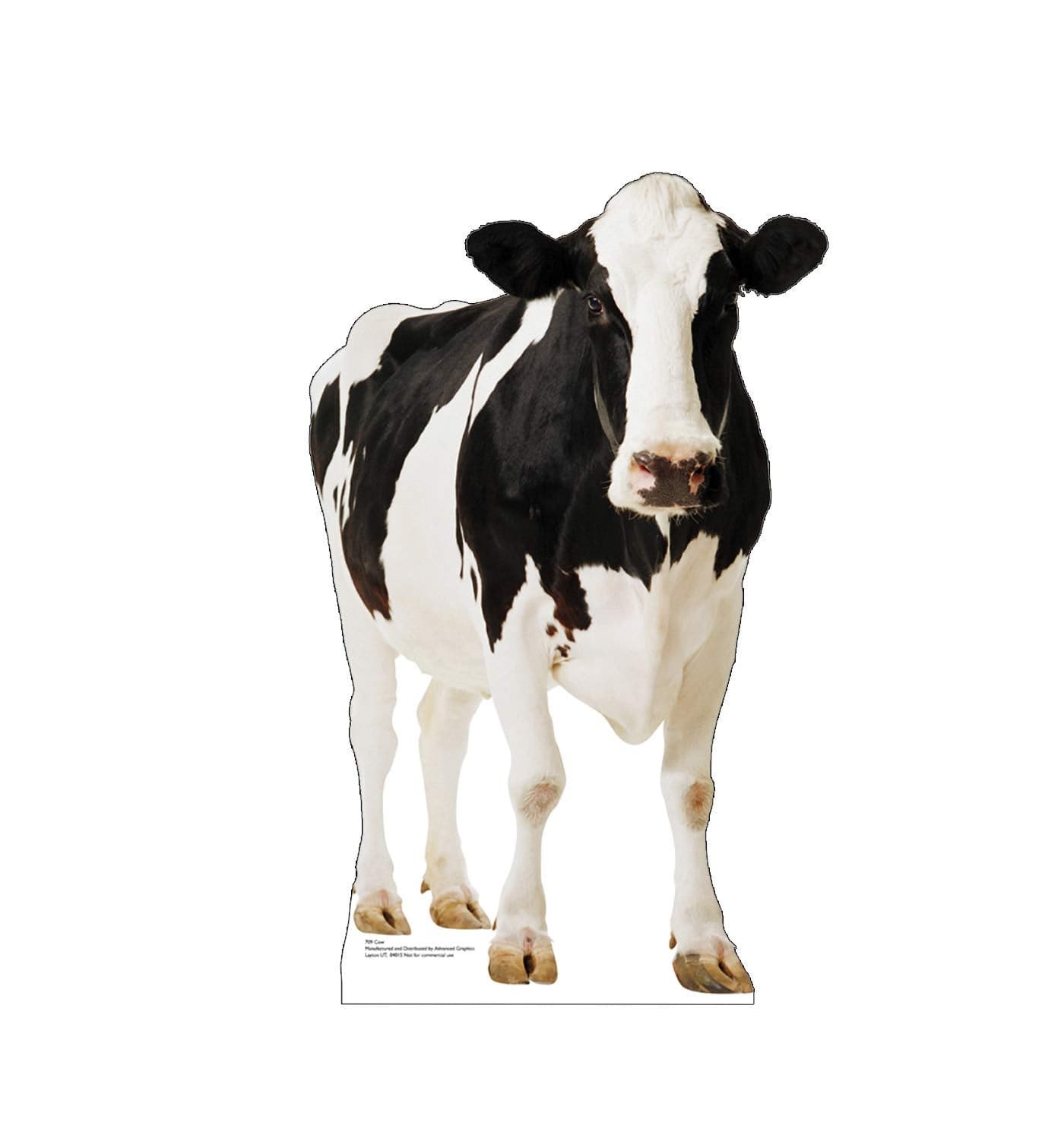 Cardboard People Cow Life Size Cardboard Cutout Standup
