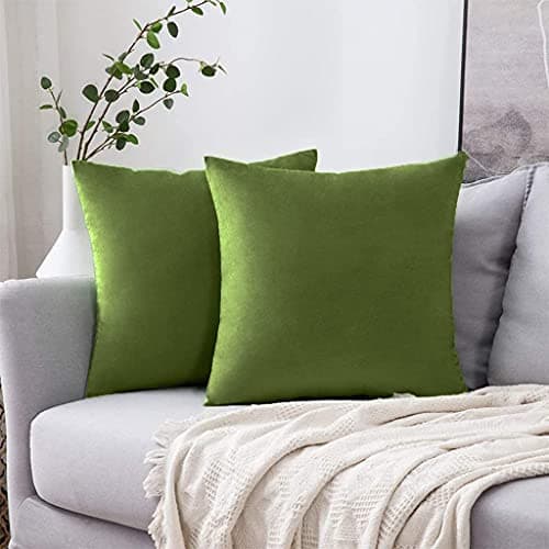 Sparrow World Decorative Holland Velvet Cushion Square Pillow Covers Pillowcases for Sofa Bedroom with Invisible Zipper || (Light Green, Set of 1 Piece (16X16 Inches)