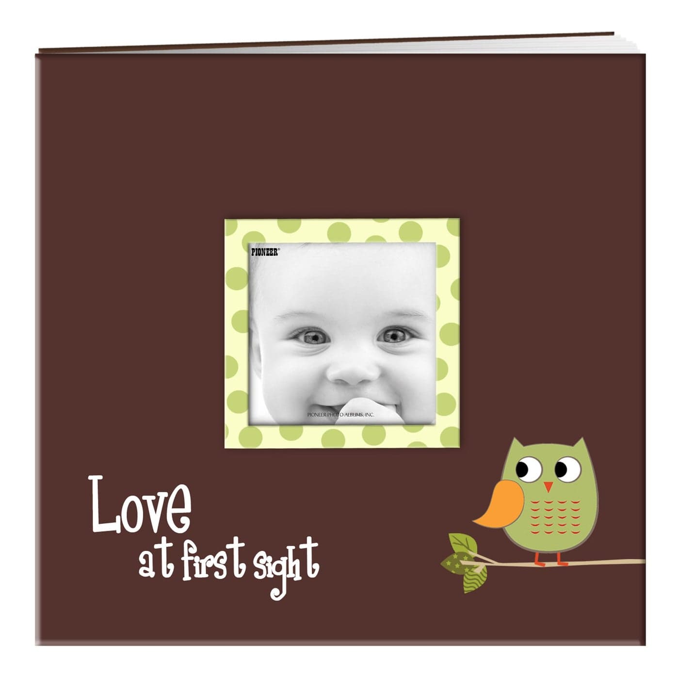 Pioneer MB10EVF Brown Green Scrapbook