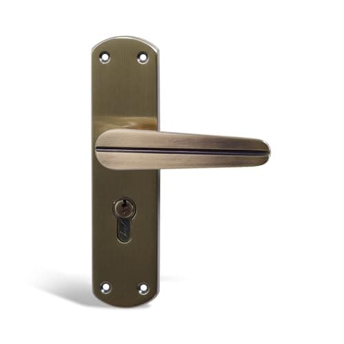 Godrej Mortise Lock I EuroProfile 60mm Cylinder | Double Throw Deadbolt | Common Keys | Reversible Latch | Antique Brass Finish | Anti-Corrosion Brass Body | 5 Year Warranty