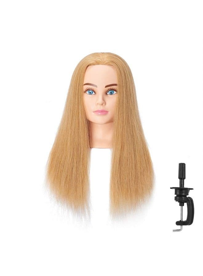 Mannequin Head 24"-26"100% Human Hair Hairdresser Cosmetology Mannequin Manikin Training Head Hair and Free Clamp Holder (R71906W2718H)