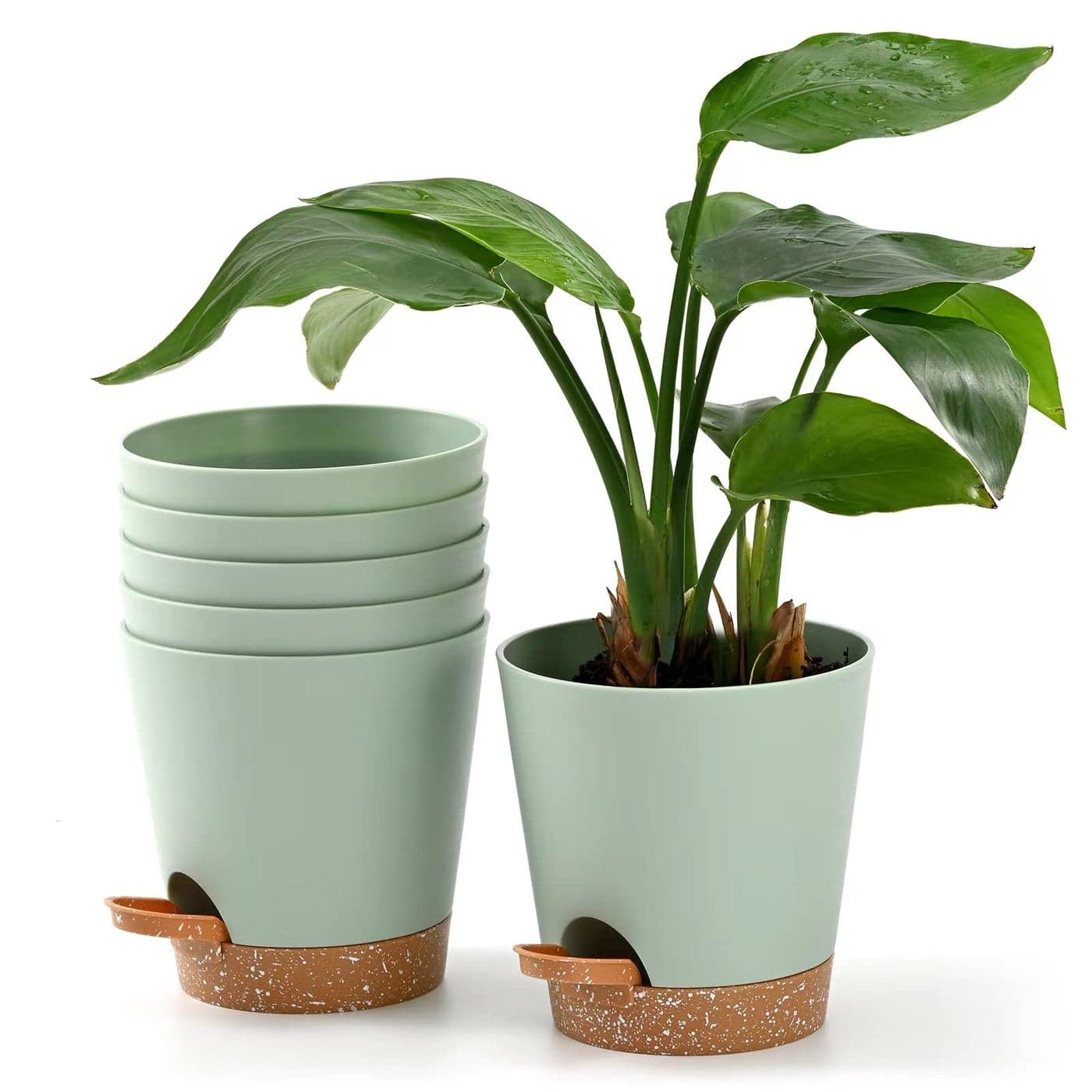 Qaobo Plant Pots 6 PCS 5 inch Self Watering Planters High Drainage Flowers Pot for Indoor Outdoor Plants with Reservoir Tray and Watering Lip Gardening Planter Garden Flower Pots Green