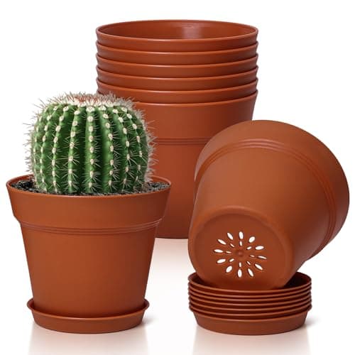T4U 4 Inch Plant Pots 8Pack Small Flower Pots with Drainage Hole and Saucer Decorative Nursery Pot Bulk for African Violet Snake Plant Succulent Herb and Plants Indoor 8 Pcs 4 Pots