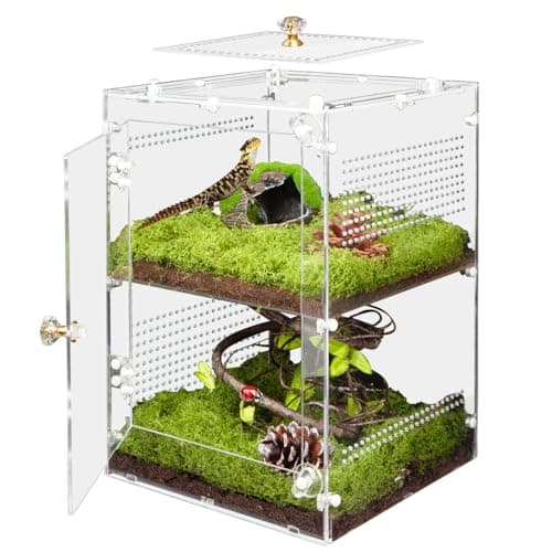 TCooSo Large Jumping Spider Enclosure, 2 in 1 Ventilated Reptile Terrarium for Praying Mantis,Arboreal Tarantula,Crested Gecko, 12"*8"*8" Acrylic Habitat with Removable Divider,Front Opening & Top Lid