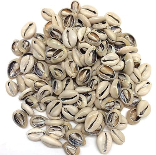 100 Pcs White and Lvory Natural Cowrie Shells Beads Oval Beach Seashells African for Hair Jewelry Making Sea Shells for CraftingDIY Craft Beads and Bead Assortments