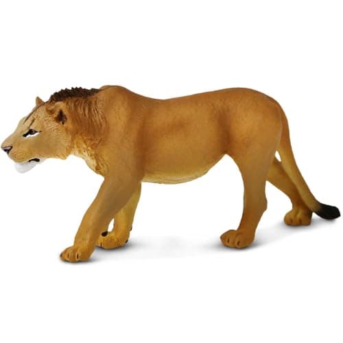 Safari Ltd Adolescent Male Lion Detailed 6 Wildlife Figurine Educational Toy for Boys Girls and Kids Ages 3